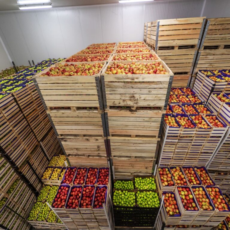 Secrets To Success In Shipping Fresh Fruits And Vegetables